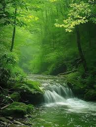 Team meeting in conference room