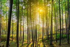 Team meeting in conference room